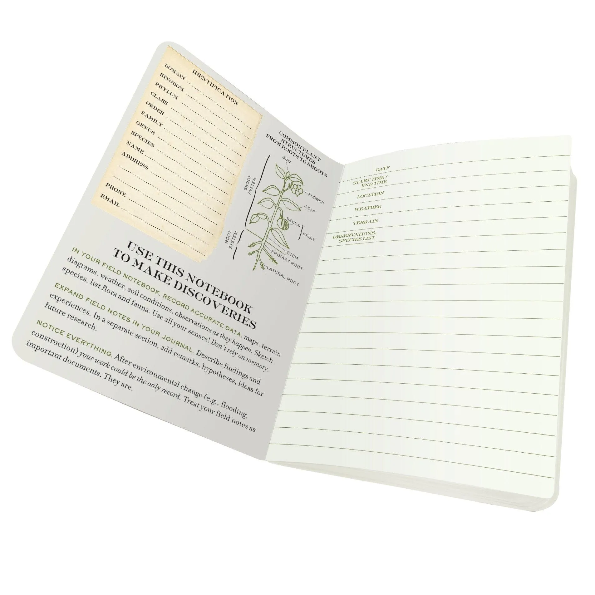Botany Notebook