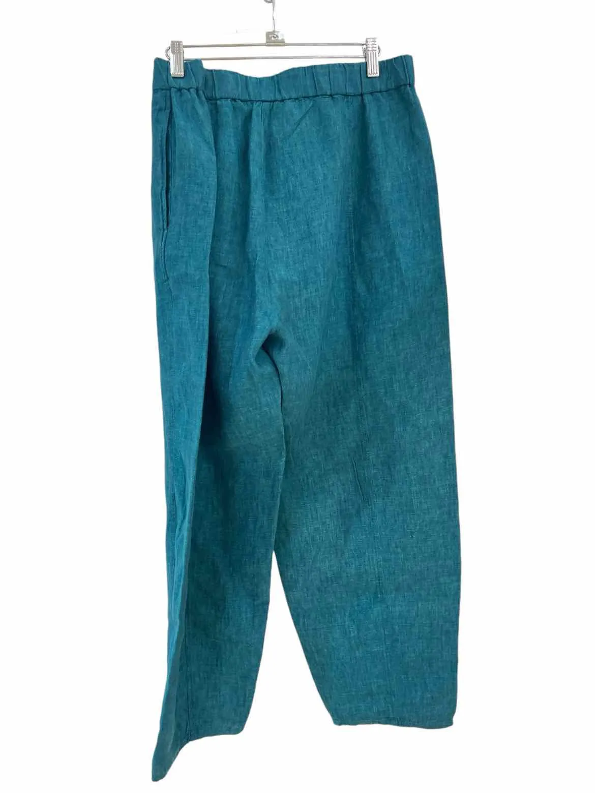 Eileen Fisher Dark Teal Size L Pants