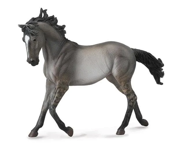 Grulla Mustang Mare