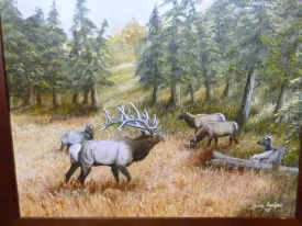 Original Oil painting, Elk painting, Wildlife Art