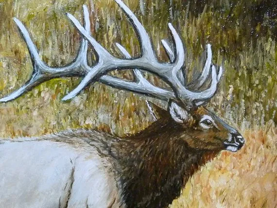 Original Oil painting, Elk painting, Wildlife Art