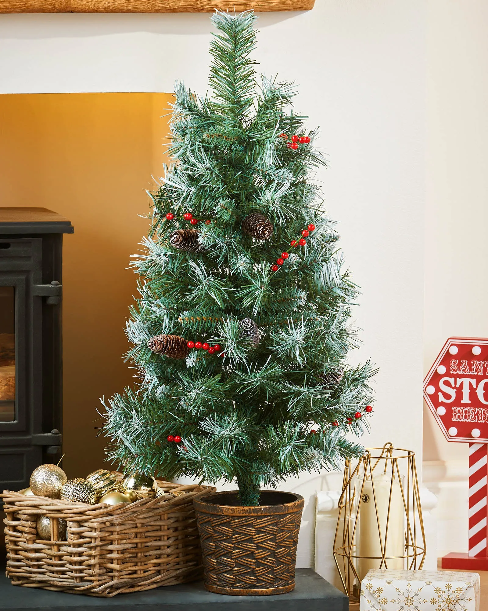 Potted Scandinavian Blue Spruce Christmas Tree, 3 ft