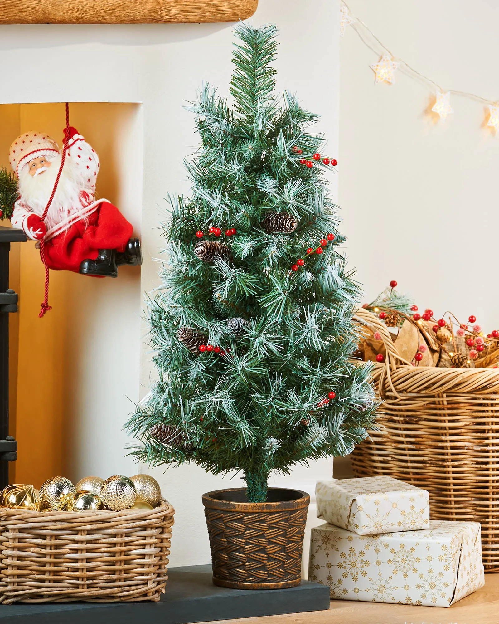 Potted Scandinavian Blue Spruce Christmas Tree, 3 ft