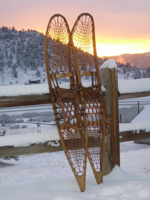 US Military Snowshoes 1953