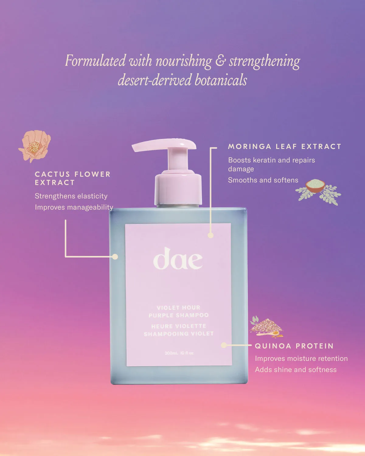 Violet Hour Purple Shampoo